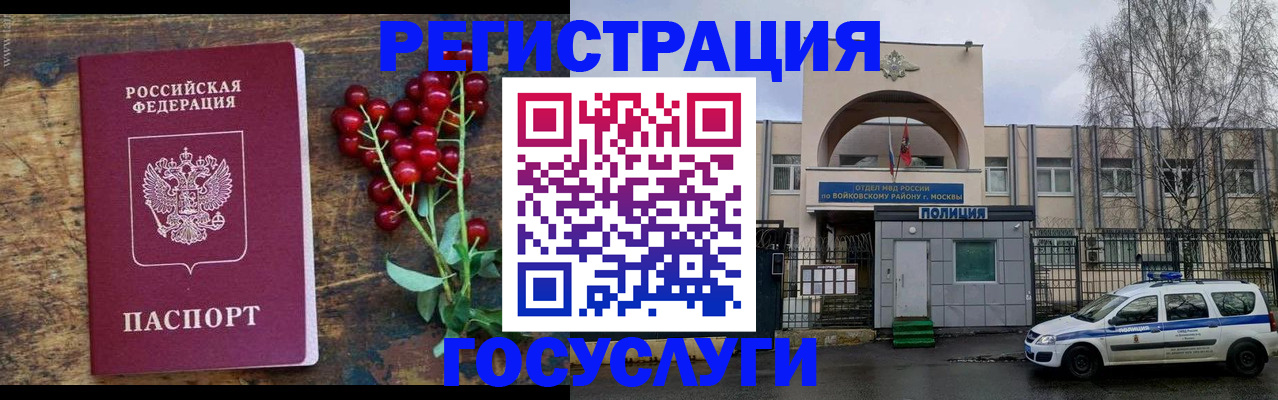 прописка 2025 в Североморске
